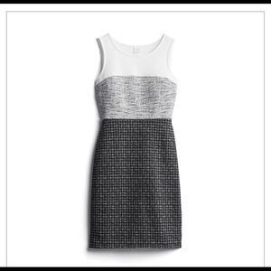 Kaileigh- Morton Knit Dress